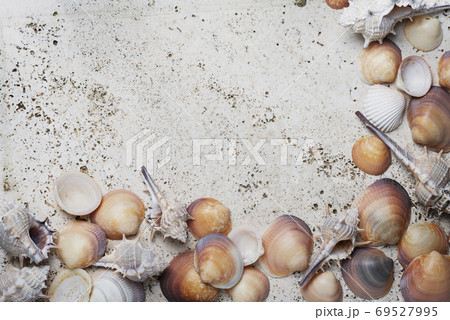 Seashells on the light marble background Seashells on the light marble background 69527995