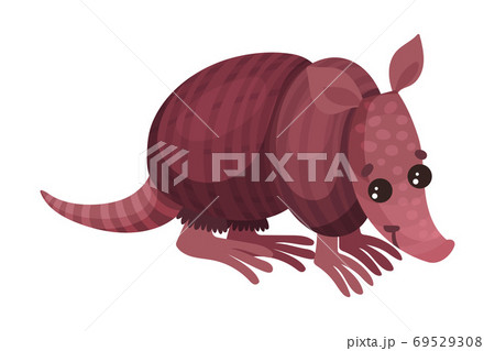 Armadillos with Armored Shell as African Animal Vector Illustration Armadillos with Armored Shell as African Animal Vector Illustration 69529308