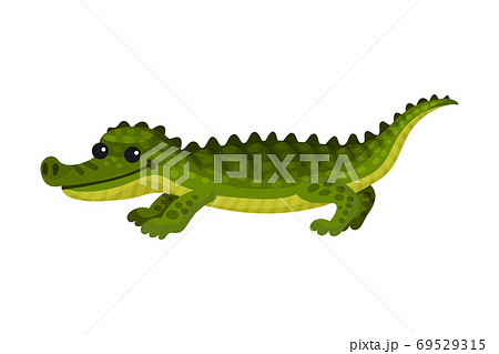 Alligator Crocodile With Long Tail And Sharp のイラスト素材