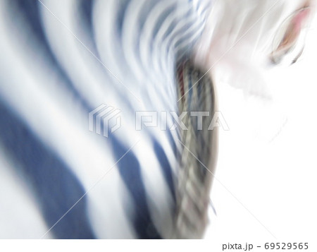 青色と白色と茶色の模様 69529565