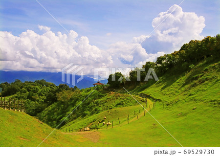 台湾 山脈 山岳 69529730
