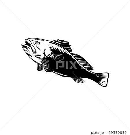 jumping bass fish silhouette