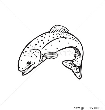 Steelhead Rainbow Trout or Columbia River Redband Trout Jumping Retro Stencil Black and White 69530059