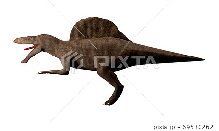 スピノサウルス   69530262
