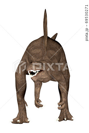 スピノサウルス   69530271