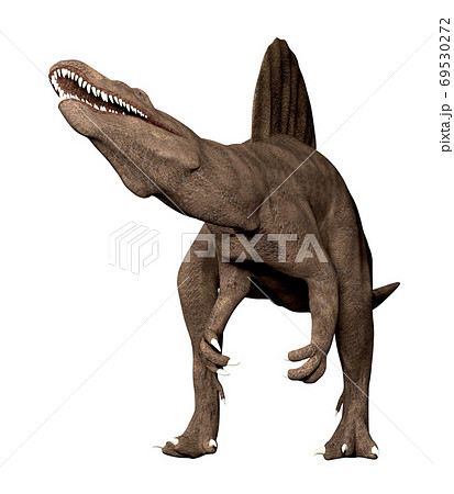 スピノサウルス スピノサウルス 69530272