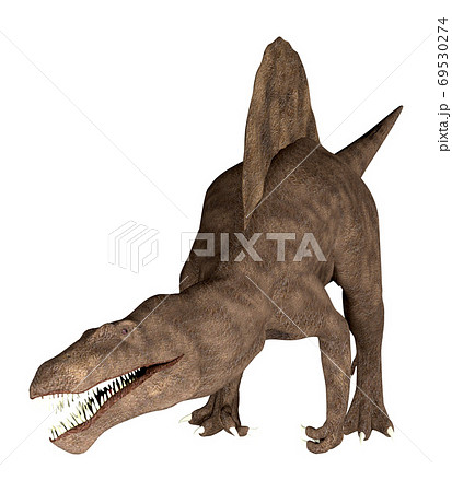 スピノサウルス のイラスト素材