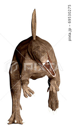 スピノサウルス   69530275