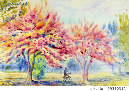 Painting watercolor of Wild himalayan cherry. 69530312