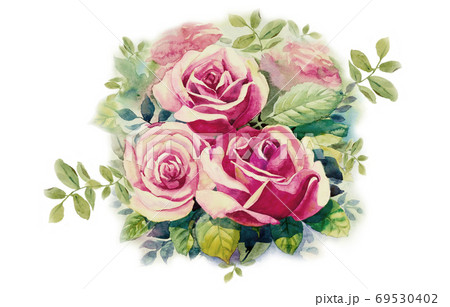 Greeting card with pink roses flowers. Greeting card with pink roses flowers. 69530402