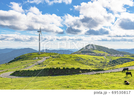 初夏の四国カルスト 69530817