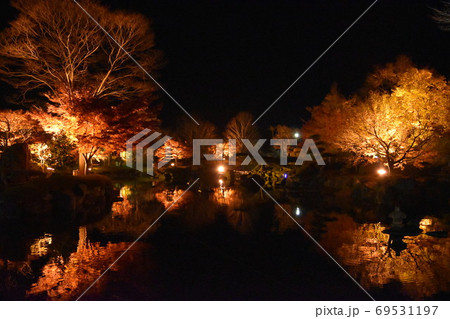 藤岡にある桜山公園のライトアップと湖に映り込んだ木々の写真素材