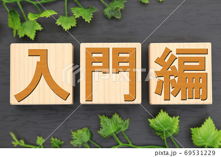 入門編 入門編 69531229