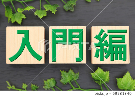 入門編 69531340