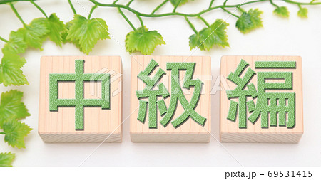 中級編 中級編 69531415