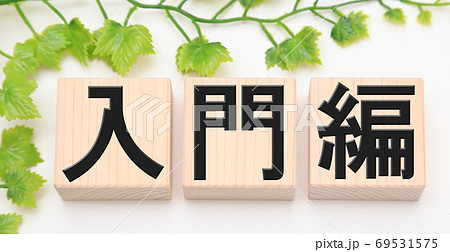 入門編 69531575