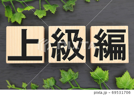 上級編 69531706