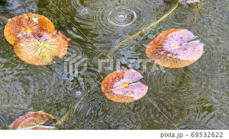 雨模様 雨模様 69532622