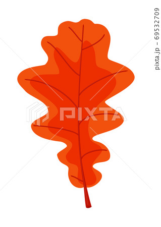 Cartoon red oak leaf Cartoon red oak leaf 69532709