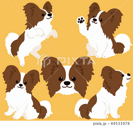 可愛いパピヨンのイラストセット 主線なしのイラスト素材