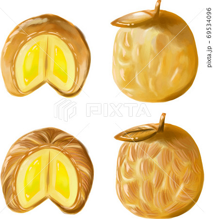 りんごが丸ごと入ったパイ生地がリアルなアップルパイ 断面図のイラスト素材
