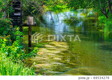 田舎の風景 大王わさび農場の水車 【長野県】 田舎の風景 大王わさび農場の水車 【長野県】 69534279