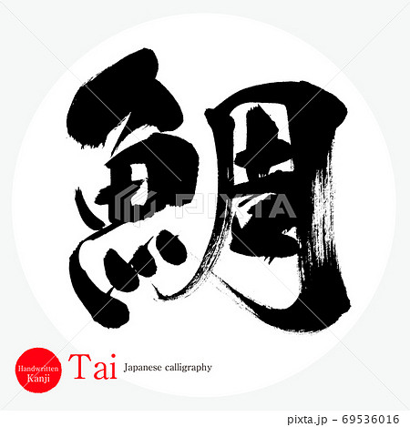 鯛 Tai 筆文字 手書き のイラスト素材