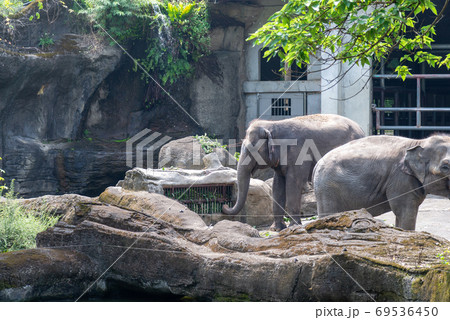 動物 動物学 台北 69536450