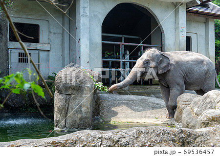 動物 動物学 台北 69536457