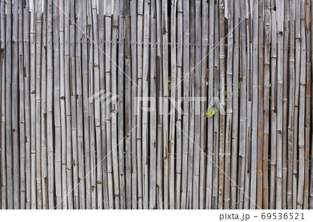 Close-up Bamboo texture and side shadows with natural patterns backgrounds, decoration wallpaper, empty pattern backdrop 69536521