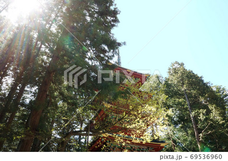 初夏の青空と自然に囲まれた日光東照宮五重塔 69536960