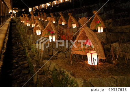 長谷寺観音万燈会 寒牡丹 長谷寺観音万燈会 寒牡丹 69537638
