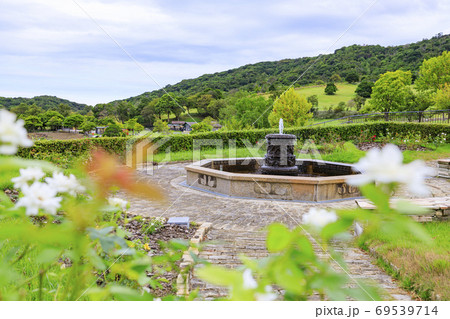 イングランドの丘　秋の草花と動物たち 69539714
