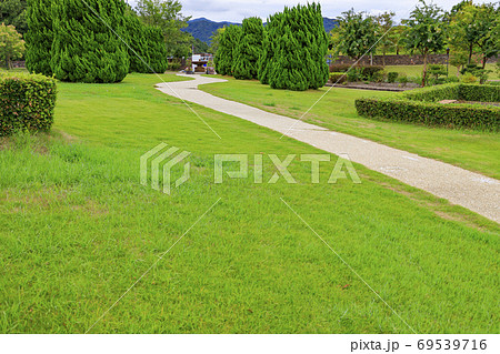 イングランドの丘　秋の草花と動物たち 69539716