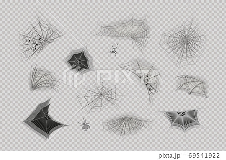 A set of hanging spider webs of different shapes. 69541922