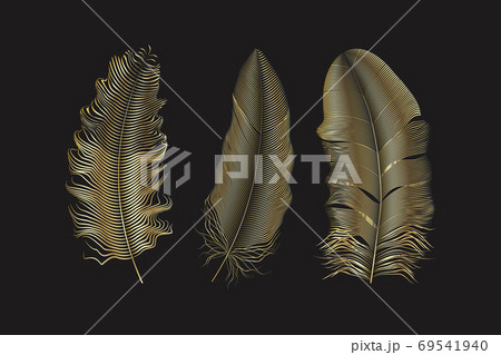 Silver and gold glitter feathers.Boho style elements,tattoo template. 69541940