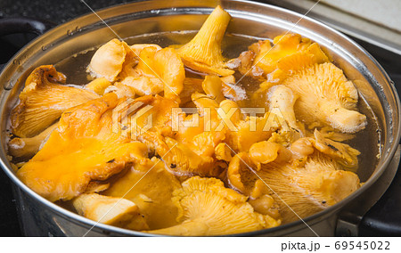 Blanching of chanterelles in a pot Blanching of chanterelles in a pot 69545022