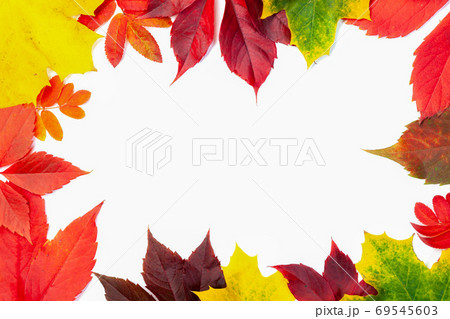 Frame from many autumn colorful leaves, texture background 69545603
