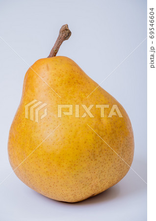 山形産洋梨のイメージカット（ブツドリ）白背景 69546604