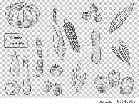 Summer vegetable set line drawing Summer-vegetables-Monochrome Summer vegetable set line drawing Summer-vegetables-Monochrome 69546698
