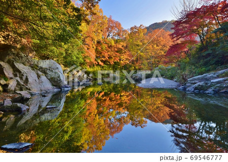 紅葉の嵐山渓谷・埼玉県　　 69546777