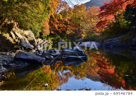 紅葉の嵐山渓谷 埼玉県 の写真素材