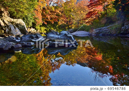 紅葉の嵐山渓谷・埼玉県 紅葉の嵐山渓谷・埼玉県 69546786