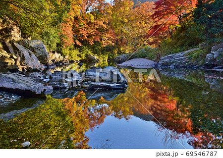 紅葉の嵐山渓谷 埼玉県 の写真素材
