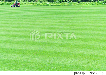 綺麗に手入れされている天然芝のサッカー練習場の写真素材
