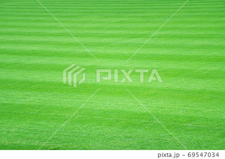 綺麗に手入れされている天然芝のサッカー練習場の写真素材