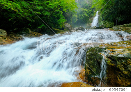 笹の滝(奈良県吉野郡十津川村) 笹の滝(奈良県吉野郡十津川村) 69547094