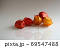 クラスター 69547488