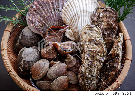 貝尽くし02 貝尽くし02 69548551