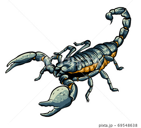Illustration Of Scorpion Arachnid Insect のイラスト素材 Illustration Of Scorpion Arachnid Insect のイラスト素材